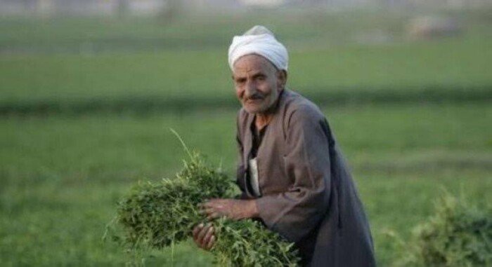 غدا.. وزير الزراعة يشارك في احتفالية عيد الفلاح الرابع والسبعين بالبحيرة