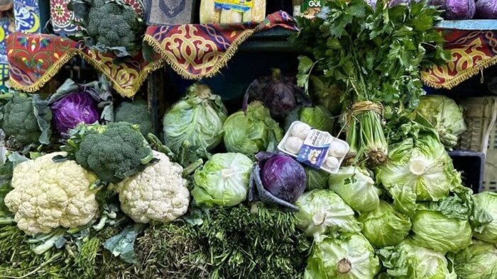 سعر كيلو الطماطم اليوم الأربعاء.. تعرف على أسعار الخضروات في الأسواق