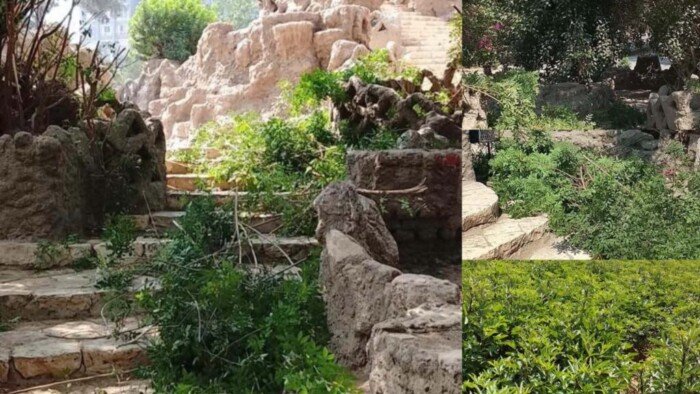 بعد معاينة ميدانية.. «الزراعة» تُؤكد سلامة أشجار حديقة الأسماك بالزمالك