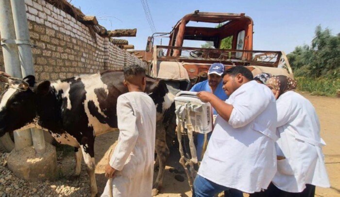 الطب البيطري بأسوان يواصل حملات التحصين والقوافل المجانية لحماية الثروة الحيوانية