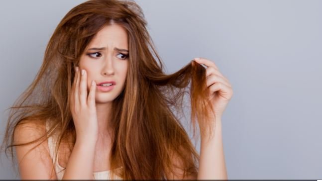 شعرك جاف وهايش؟.. 7 ماسكات طبيعية لاستعادة الترطيب والنعومة