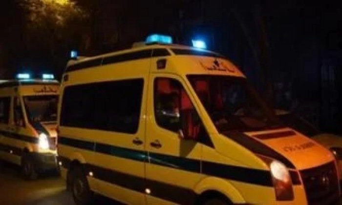 مأساة في كفر الدوار.. طالب ينهي حياة والده بسبب خلافات مالية بالبحيرة