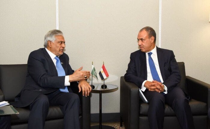 وزير الخارجية يبحث مع نظيره الباكستاني جهود خفض التصعيد واستعادة التهدئة بالمنطقة