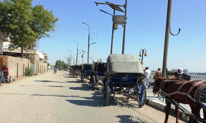 محافظ أسوان يوجه بتنظيم عربات الحنطور بإدفو.. أكواد موحدة ومنع قيادة الأطفال