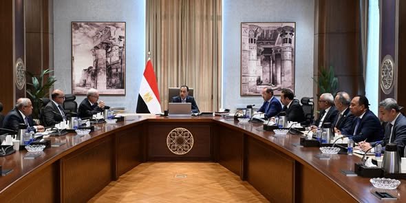 مدبولي يتابع مستهدفات يرنامج إعادة هيكلة الشركات القابضة وتعظيم العائد من أصول الدولة