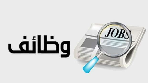 حتى سن الـ 50.. تفاصيل طرح 855 فرصة عمل في 3 مدن