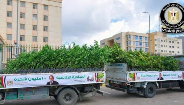 تنسيق بين الوزارات لدعم التشجير والحفاظ على البيئة.. تفاصيل المرحلة الثالثة من «100 مليون شجرة»
