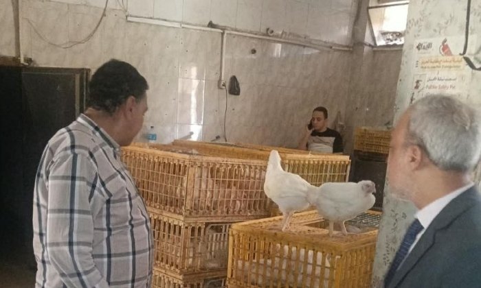 ضبط 2700 كيلو دجاج ومفروم داخل مصنعين غير مرخصين بالشرقية
