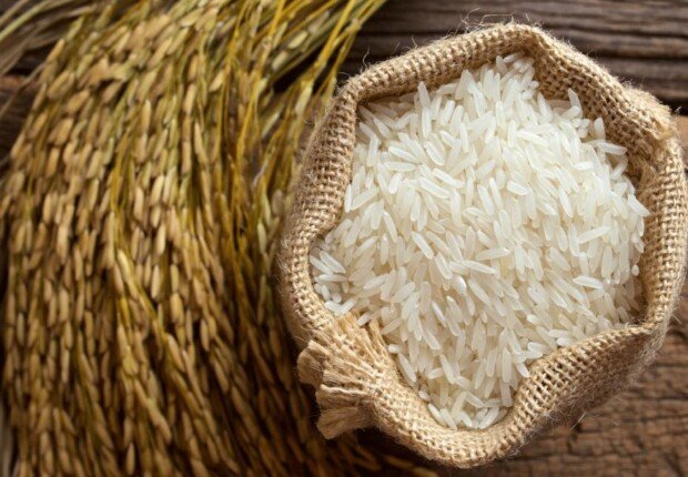 سعر طن الأرز الشعير والأبيض اليوم السبت 26 سبتمبر 2026