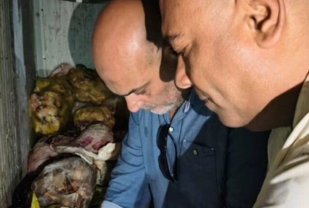 ضبط 20 طن لحوم فاسدة ومذبوحة خارج المجازر في حملة رقابية بالقليوبية