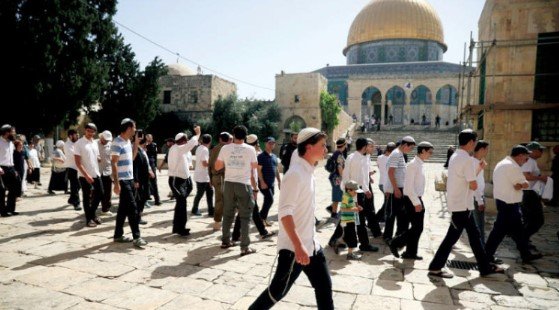 خلال يومين.. 1678 مستوطنًا يقتحمون المسجد الأقصى وتصعيد لفرض وقائع جديدة داخله