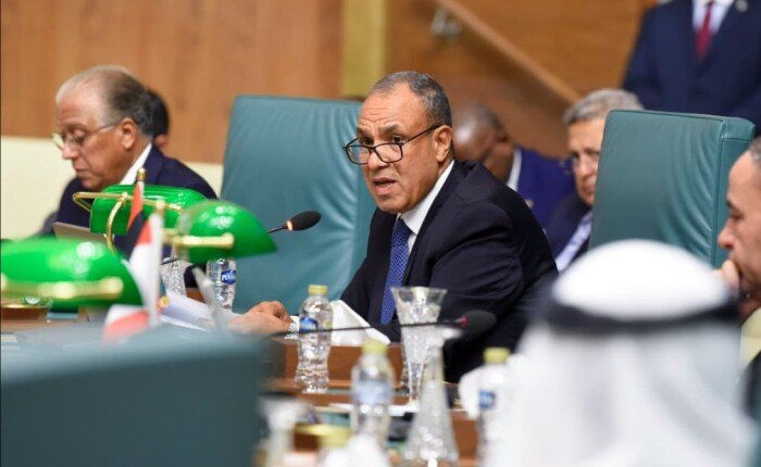 وزير الخارجية يُجدد إدانة مصر للاعتداءات الإيرانية على الدول العربية