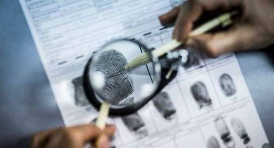 لـ 20 سبتمبر.. تأجيل محاكمة عاطل متهم بتزوير محررات رسمية في مايو
