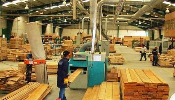 غرفة الأخشاب: رفع مساهمة القطاع الخاص إلى 75% يعزز الاستثمار والتصنيع المحلي