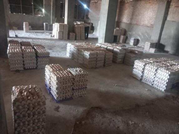 «تموين الغربية» يضبط أكثر من 228 ألف بيضة فاسدة داخل مزرعة دواجن قبل طرحها بالأسواق