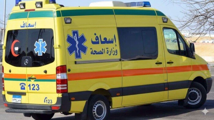 إصابة مسن إثر سقوطه من قطار بمزلقان أشمون بالمنوفية