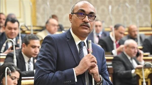 إيهاب منصور لـ «الأسبوع»: زيارة الرئيس الصيني تعزز ثقل مصر إقليميًا ودوليًا