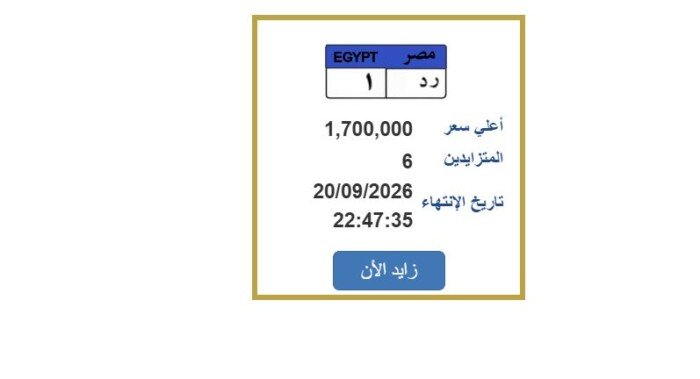«ر د 1» بـ1.7 مليون جنيه.. تفاصيل مزاد لوحة معدنية مميزة للسيارات