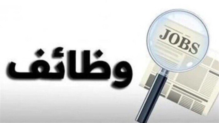 وظائف خالية في الجيزة براتب 12 ألف جنيه.. الشروط والتخصصات والأوراق المطلوبة