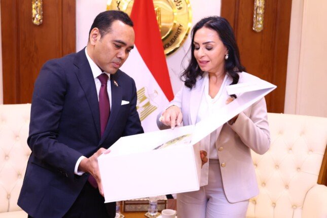 مصر وسنغافورة تفتحان آفاقا جديدة للتعاون في الحماية الاجتماعية والإغاثة
