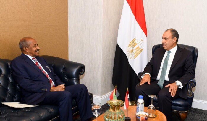 وزير الخارجية ونظيره الإريتري يبحثان سبل تعزيز العلاقات الثنائية والتنسيق حول القضايا الإقليمية