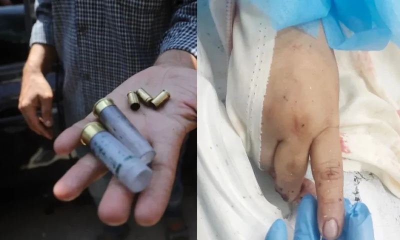 سماح الخالدي.. اشتبكت مع قوة خاصة حاولت اختطاف زوجها غرب غزة حتى الشهادة 
