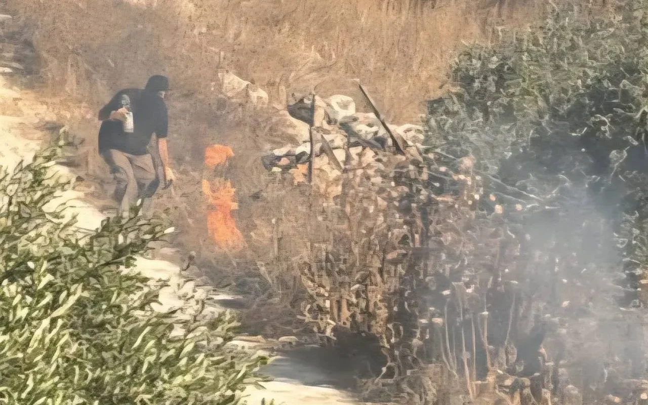جرائم متواصلة: مستوطنون يصعّدون اعتداءاتهم في الضفة