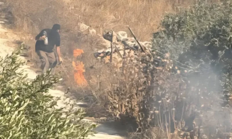 جرائم متواصلة: مستوطنون يصعّدون اعتداءاتهم في الضفة