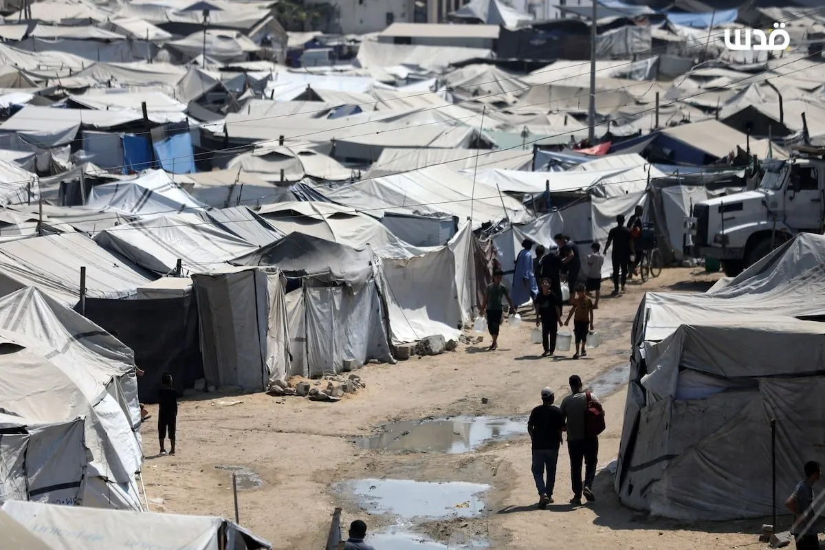 أزمة المأوى تتفاقم في غزة.. نصف مليون قطعة إيواء مطلوبة قبل الشتاء