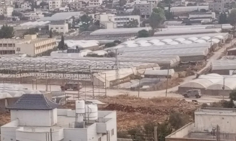 إطلاق نار ومداهمات.. اقتحامات للاحتلال في الضفة
