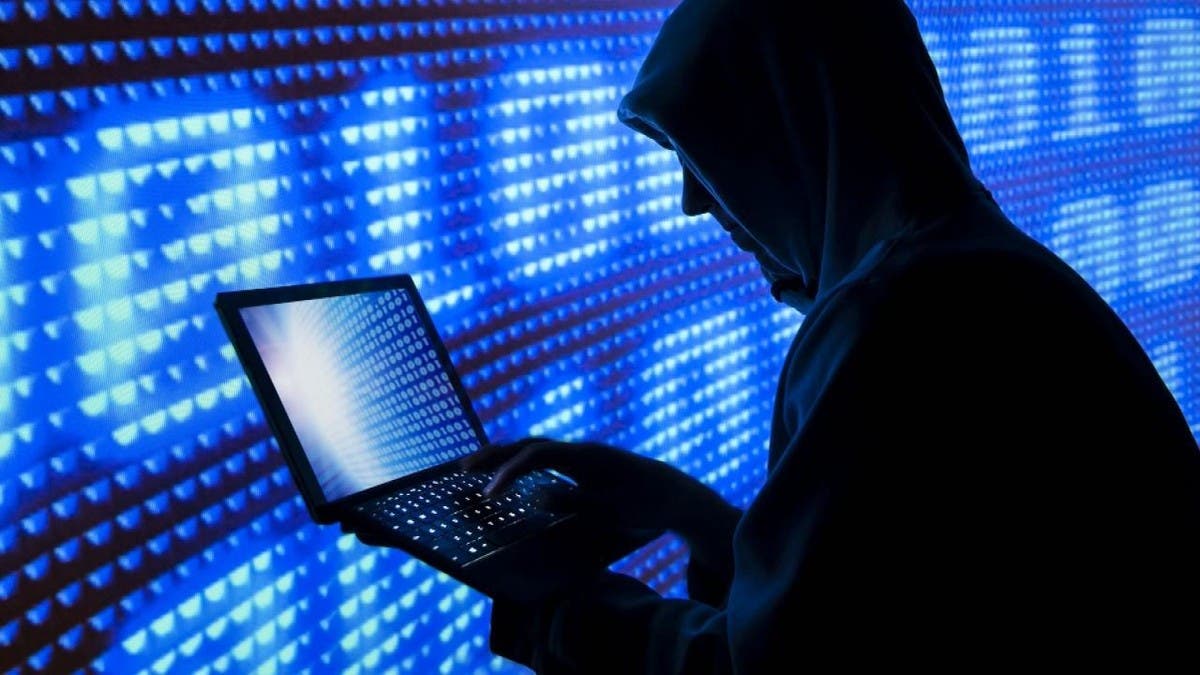بعد نشر 5.79 تيرابايت من البيانات المسروقة.. حكومة برلين تطلق خطة أزمات