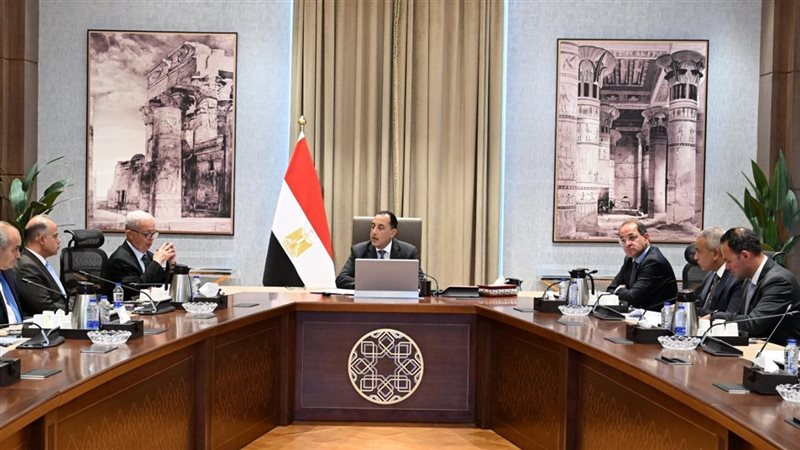 الطروحات الحكومية مستمرة.. شركات الدولة تحت خطة إعادة الهيكلة والتطوير