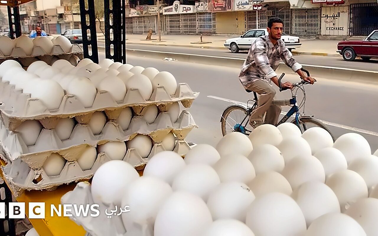 كيف تناول مستخدمو مواقع التواصل الاجتماعي “أزمة البيض” في العراق؟