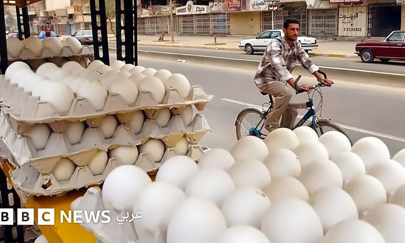 كيف تناول مستخدمو مواقع التواصل الاجتماعي “أزمة البيض” في العراق؟