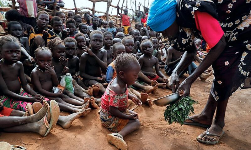 الأمم المتحدة: الحرب والجفاف يفاقمان خطر المجاعة في السودان