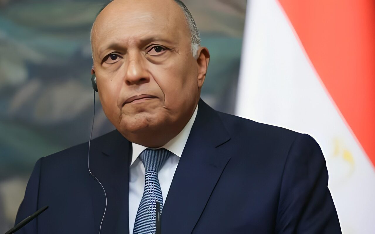 سامح شكري: دعم السعودية دفاعيًا لا يعني انخراط مصر في الحرب