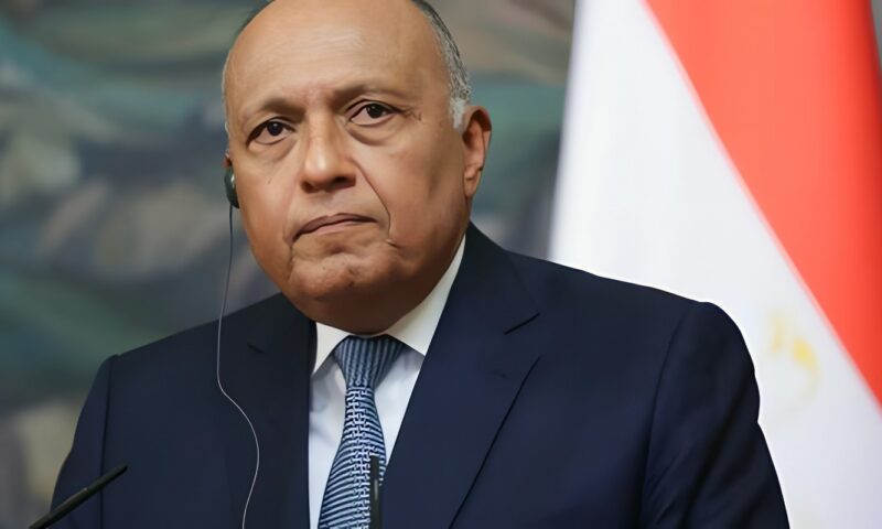 سامح شكري: اضطراب الملاحة في هرمز وباب المندب يؤثر على قناة السويس