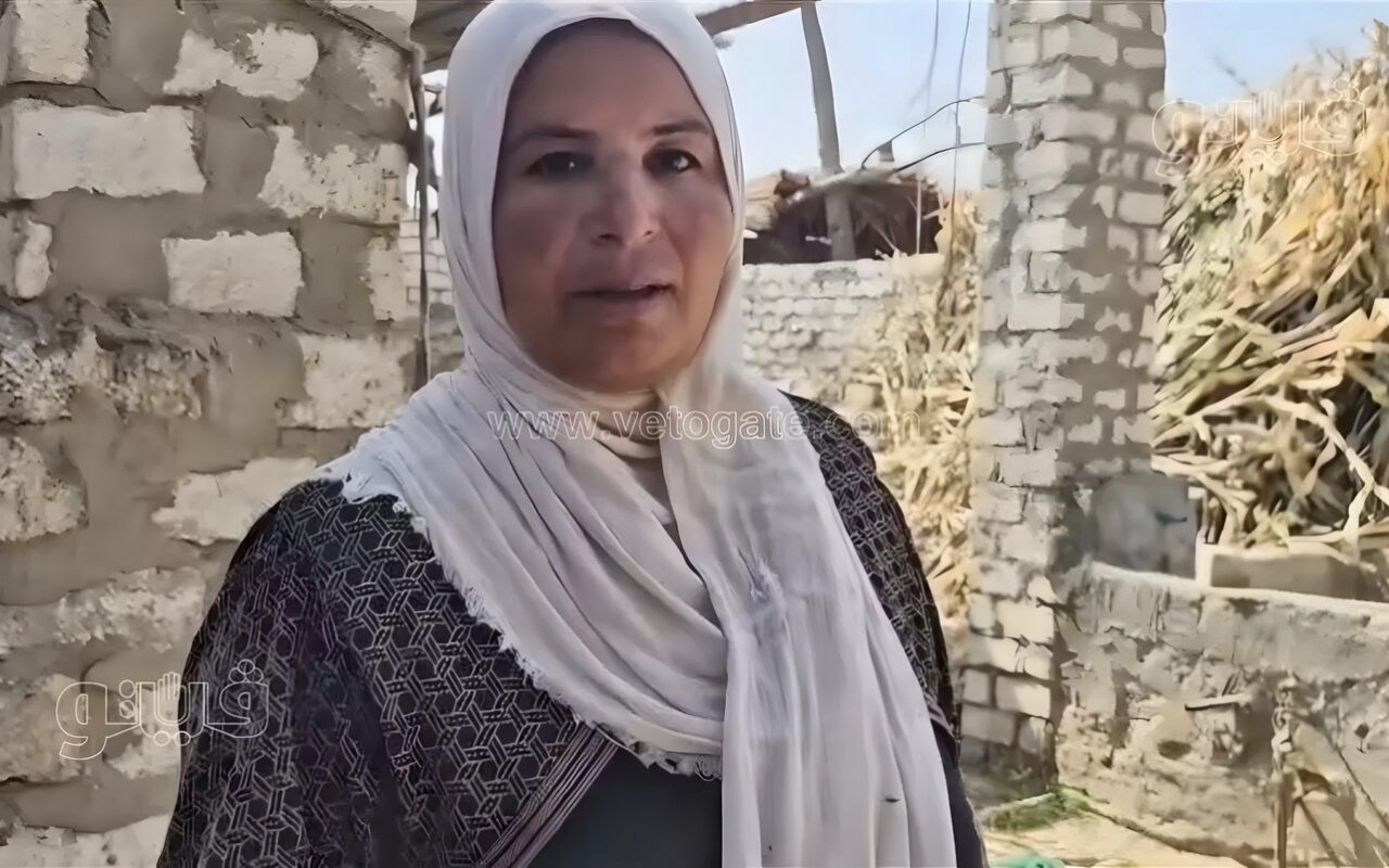 الزوجة الأصيلة رزق، حكاية سناء بخيت من إيد شقيانة إلى مشروع إنتاج الأعلاف لمساعدة زوجها (فيديو)