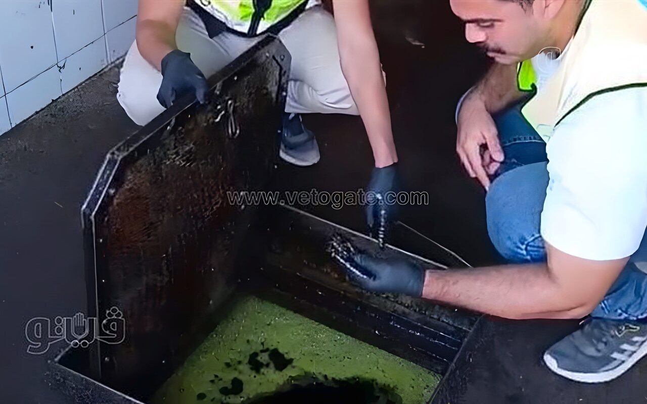 ضبط 16.5 طن زيت فاسد وملح يحتوي على بقايا قوارض بالغربية