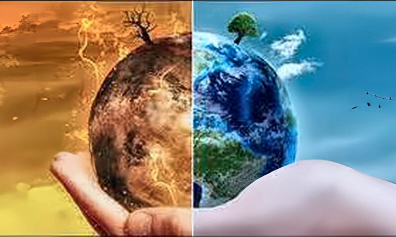 نبيل الهادي: الأشجار المحلية عنصر أساسي لحماية التنوع البيولوجي ومواجهة التغير المناخي