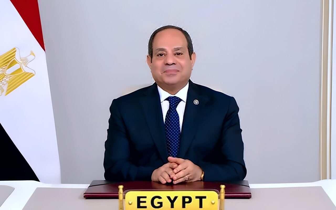 توافق مصري صومالي على تعزيز التنسيق بشأن أمن القرن الأفريقي وباب المندب