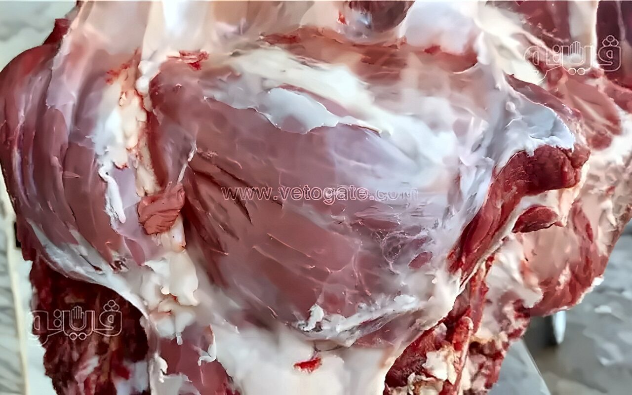 شعبة القصابين: ارتفاعات مرتقبة في أسعار اللحوم وعلى الحكومة التحرك سريعًا