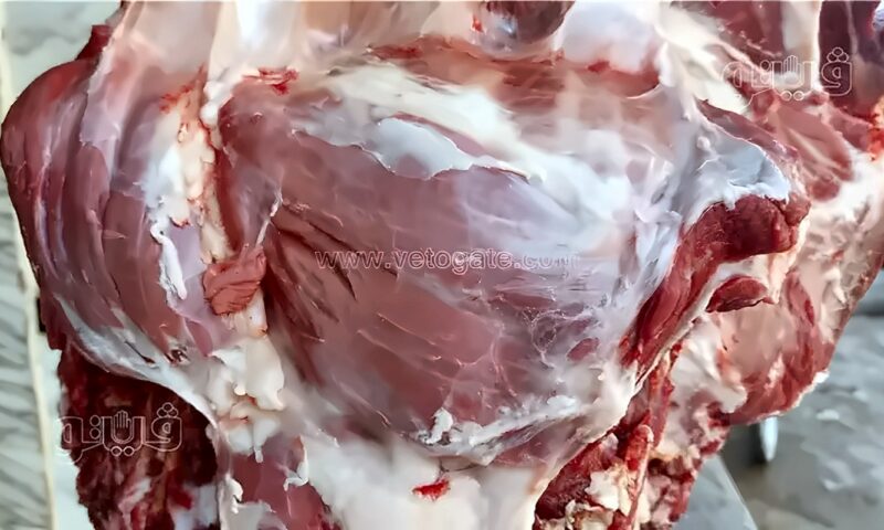 شعبة القصابين: ارتفاعات مرتقبة في أسعار اللحوم وعلى الحكومة التحرك سريعًا
