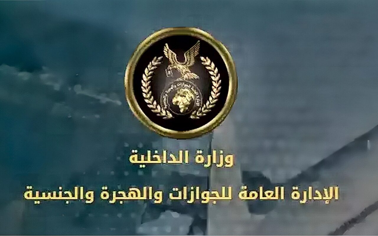 كيف يحصل المهاجر المصري على مستحقاته التأمينية؟ الشروط والأوراق والرسوم المطلوبة