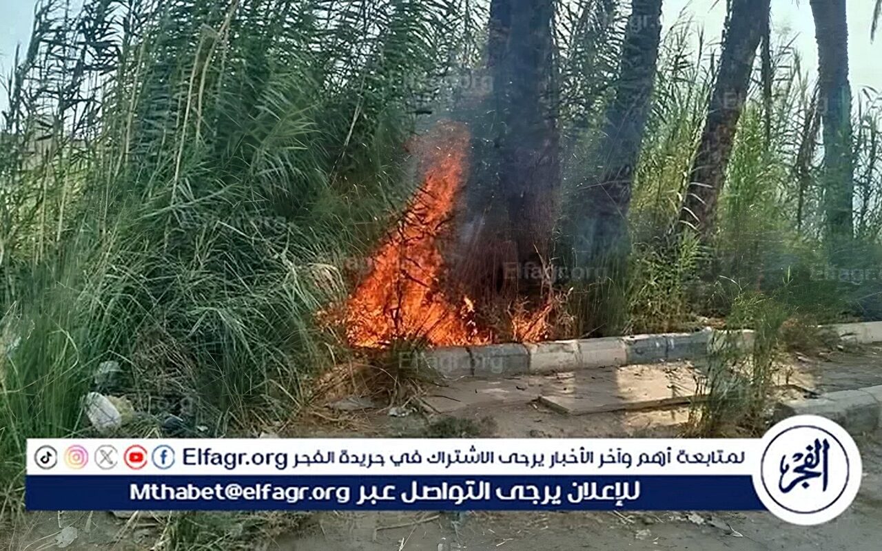 السيطرة على حريق بالطريق الزراعي في مغاغة بالمنيا دون امتداده