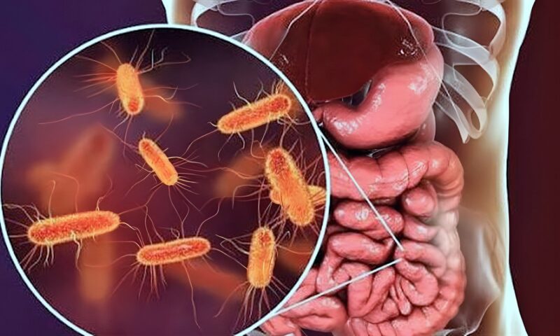 أسرار بكتيريا الأمعاء، دراسة تدق ناقوس الخطر عن علاقة معدل التبرز بصحة القلب والكلى