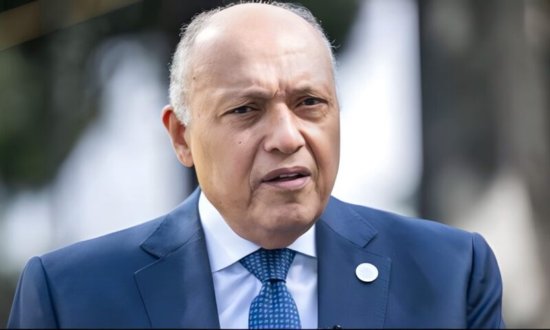 سامح شكري: لم يُنفذ شيء من خطة السلام في غزة.. والأوضاع الإنسانية صعبة