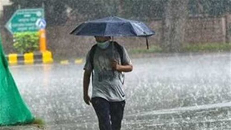 الأرصاد: استمرار الأمطار على الإسكندرية وزيادة شدتها خلال الساعات المقبلة