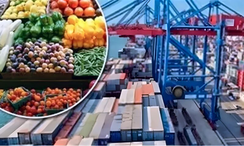 المكسيك وبيرو وبنما أحدث الوجهات، الزراعة تكشف عن أسواق جديدة تستقبل الحاصلات المصرية