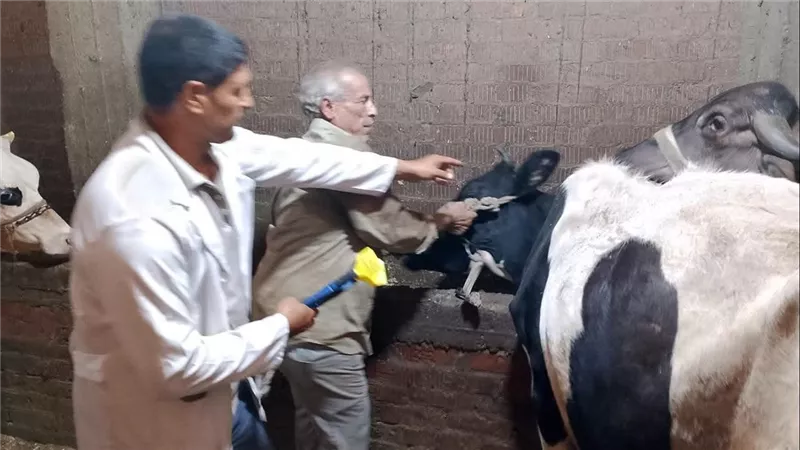 محافظ الدقهلية: إنتهاء الحملة القومية للتحصين ضد الحمى القلاعية وحمى الوادي المتصدع